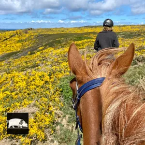 Club hippique (Plouhinec & Plovan)